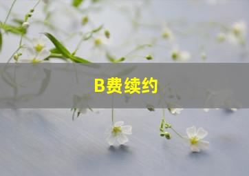 B费续约