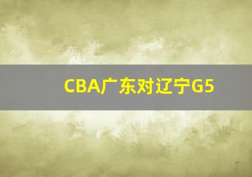 CBA广东对辽宁G5