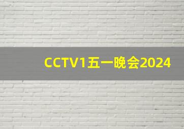 CCTV1五一晚会2024