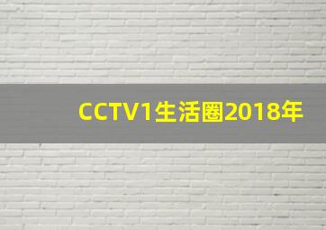 CCTV1生活圈2018年