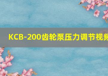 KCB-200齿轮泵压力调节视频