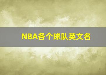 NBA各个球队英文名