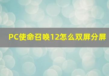 PC使命召唤12怎么双屏分屏