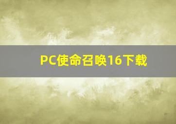 PC使命召唤16下载