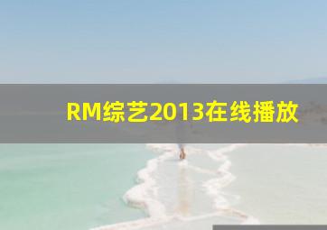 RM综艺2013在线播放