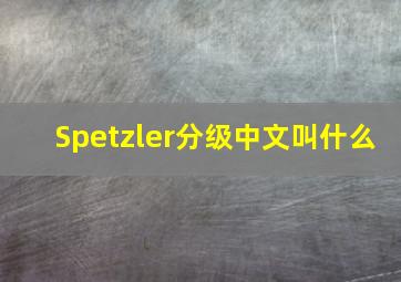 Spetzler分级中文叫什么