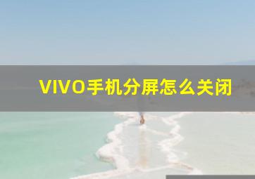 VIVO手机分屏怎么关闭