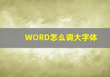 WORD怎么调大字体