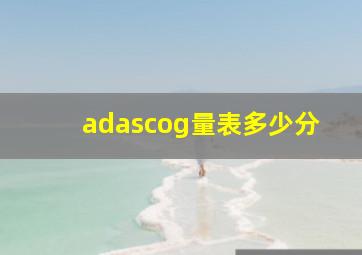 adascog量表多少分