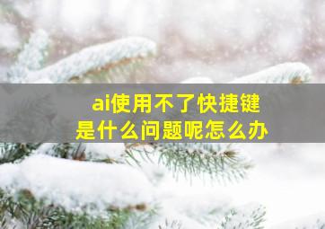 ai使用不了快捷键是什么问题呢怎么办