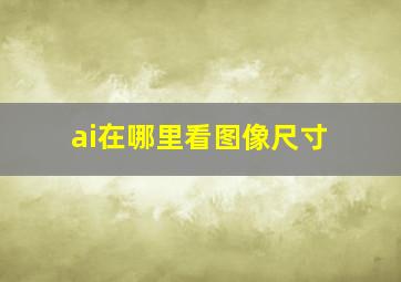 ai在哪里看图像尺寸