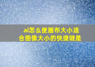 ai怎么使画布大小适合图像大小的快捷键是