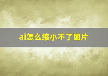 ai怎么缩小不了图片