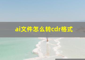 ai文件怎么转cdr格式