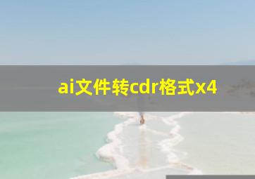 ai文件转cdr格式x4