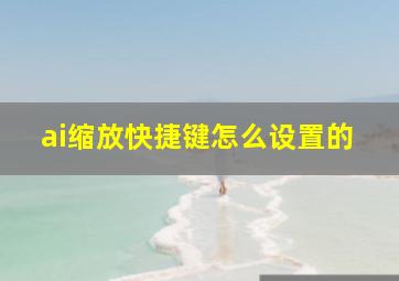 ai缩放快捷键怎么设置的