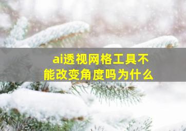 ai透视网格工具不能改变角度吗为什么