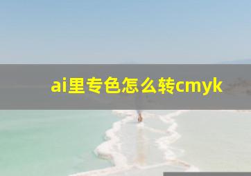 ai里专色怎么转cmyk