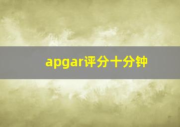 apgar评分十分钟