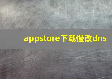 appstore下载慢改dns