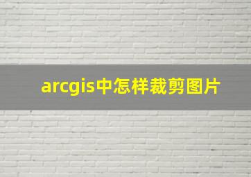 arcgis中怎样裁剪图片