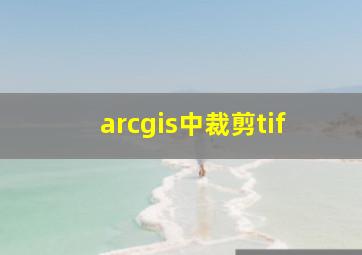 arcgis中裁剪tif