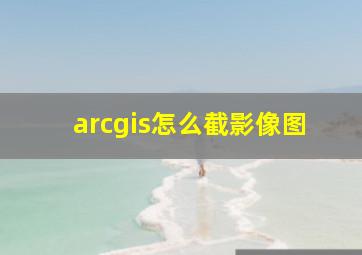 arcgis怎么截影像图