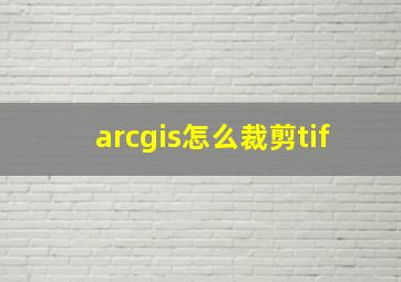 arcgis怎么裁剪tif