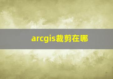 arcgis裁剪在哪