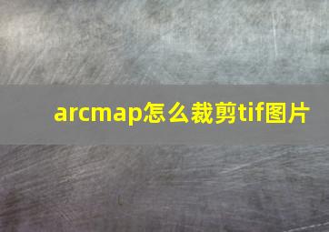 arcmap怎么裁剪tif图片