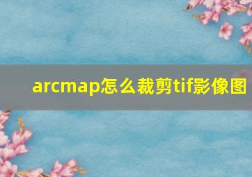 arcmap怎么裁剪tif影像图