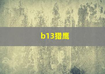 b13猎鹰