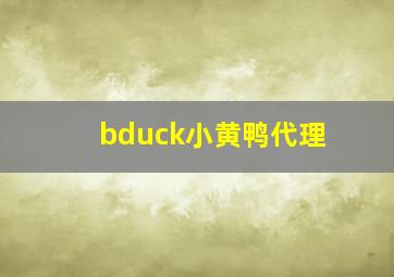 bduck小黄鸭代理