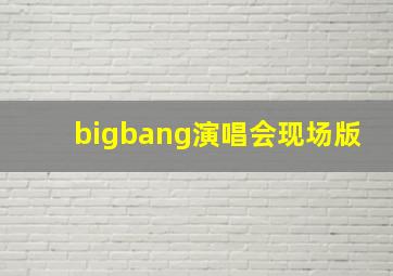 bigbang演唱会现场版