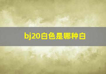 bj20白色是哪种白