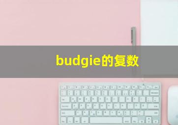 budgie的复数