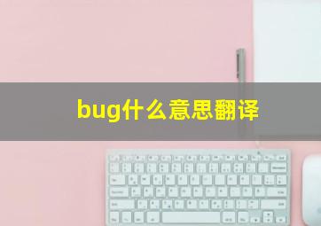 bug什么意思翻译