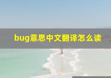 bug意思中文翻译怎么读