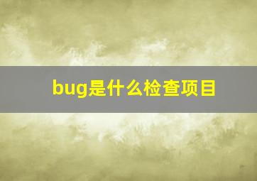 bug是什么检查项目