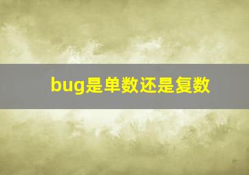 bug是单数还是复数