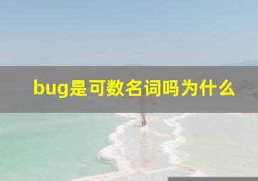 bug是可数名词吗为什么