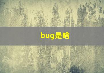 bug是啥