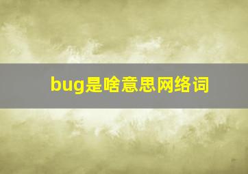 bug是啥意思网络词