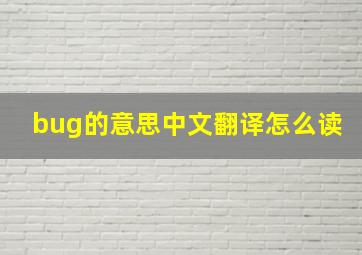 bug的意思中文翻译怎么读