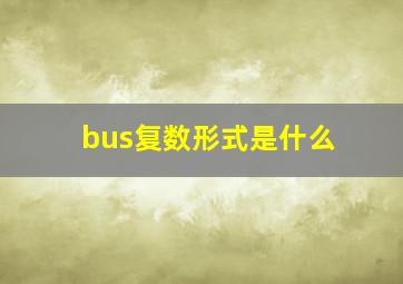 bus复数形式是什么