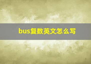 bus复数英文怎么写