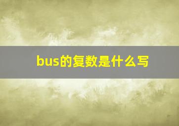 bus的复数是什么写