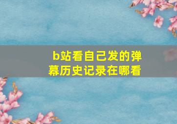 b站看自己发的弹幕历史记录在哪看