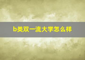 b类双一流大学怎么样