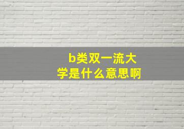 b类双一流大学是什么意思啊